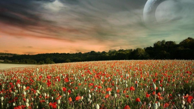 救命啊QAQ一不小心MAC电脑垃圾箱删除了一个文件怎么找回?